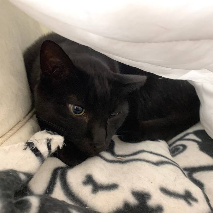 623e2ccd cdfe 4ae9 bc6b 07547f952130 1543195688666