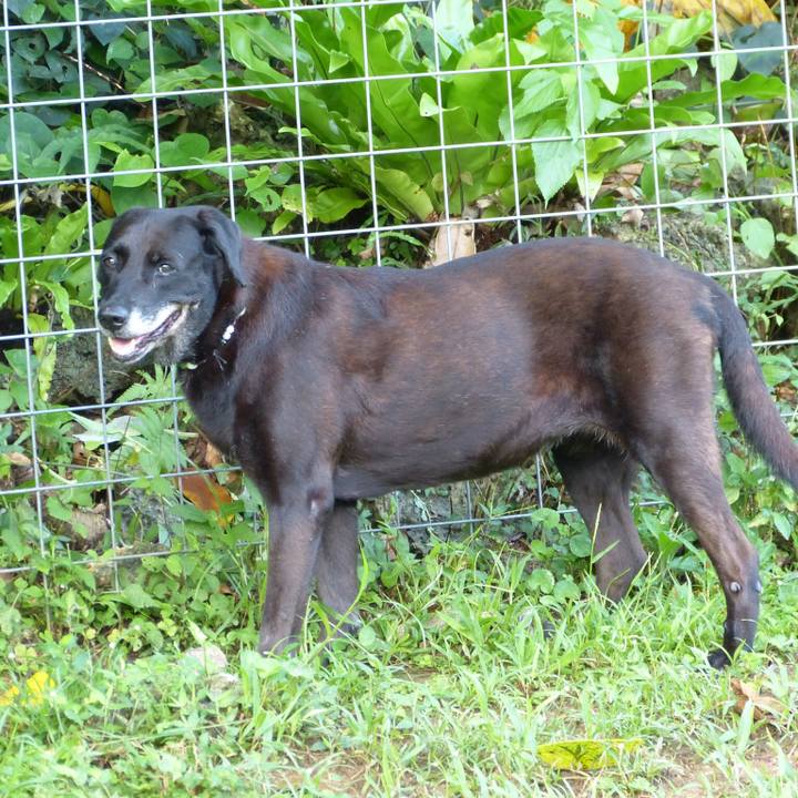 623e7bf8 150b 4421 98c1 76e40b199142 1535524802031