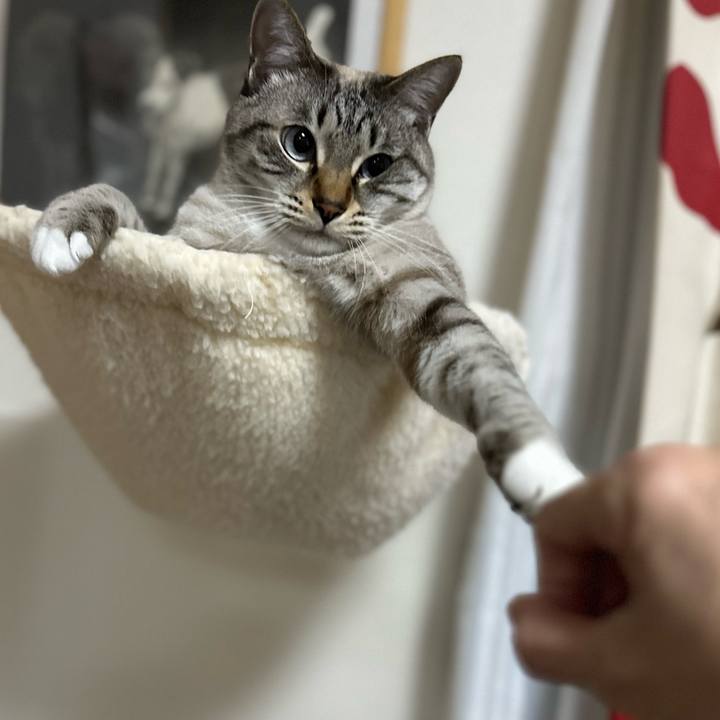 623e84b1 aeb6 4839 ab66 e09c74705c80 1703640673748