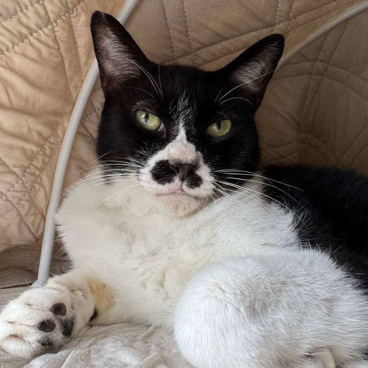 623ecd76 0ebb 4c4d b0c6 d382dded2362 1756936006712