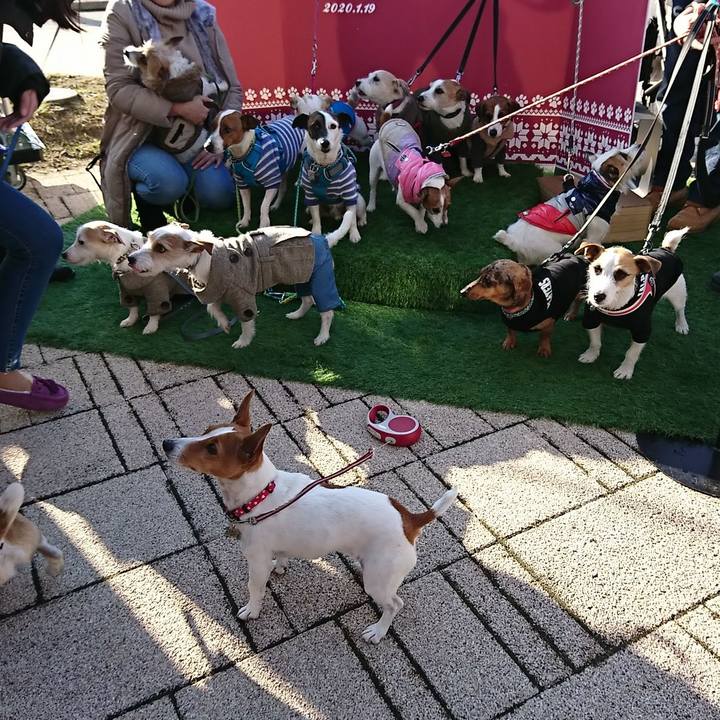 623ece17 3713 4522 bd75 6b69b8205be2 1579419805384