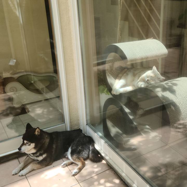 623ed62f 704c 48aa ba25 c1d88d0feb1a 1620527512442