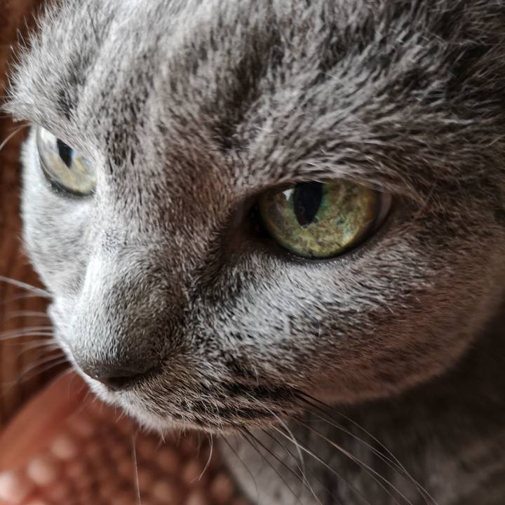 623ef020 c064 46ee 8c16 7233e3ec63f9 1601092645765