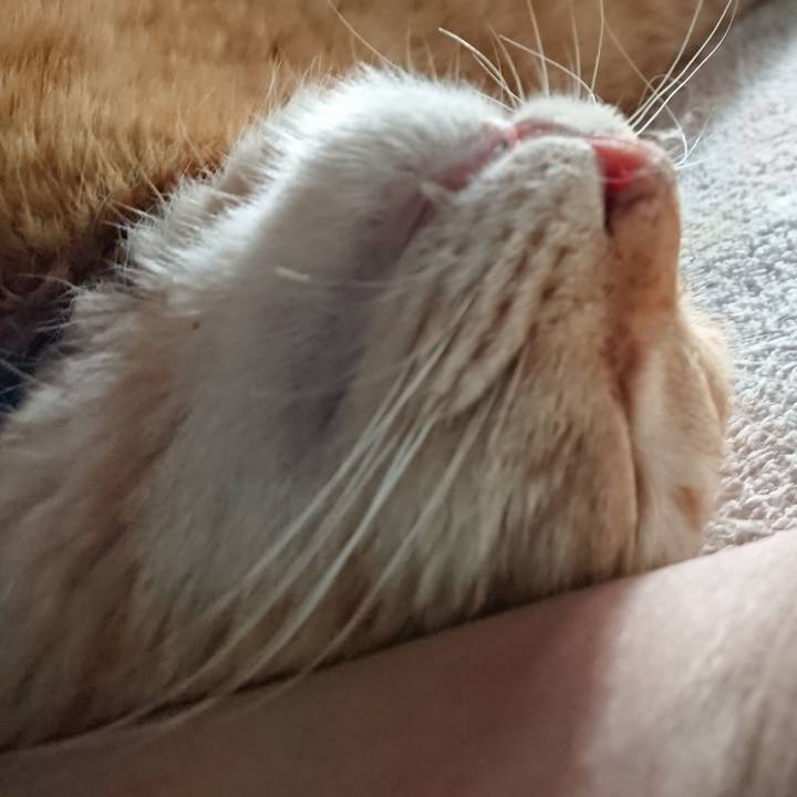 623efa32 434b 43a0 b295 6f3d16f98134 1659422363530