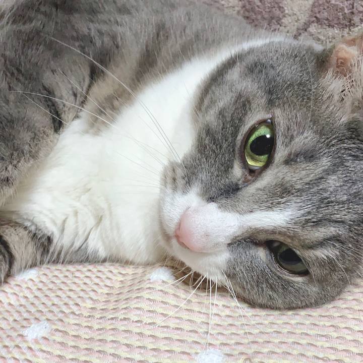 623f09d5 84fa 4b6f b2b9 7a70d247aabd 1599395137456