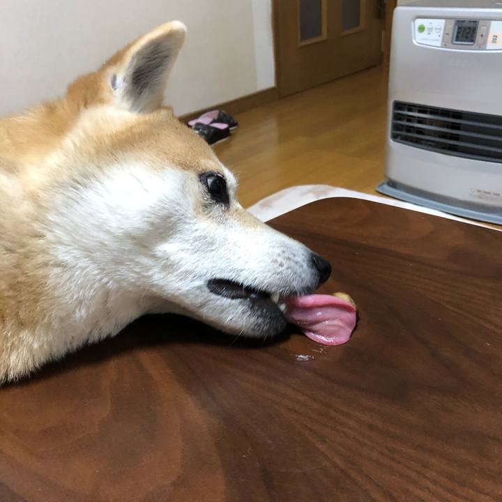 623f1f56 2baf 4fc6 8c2a 829f6ddbdd43 1582815151177