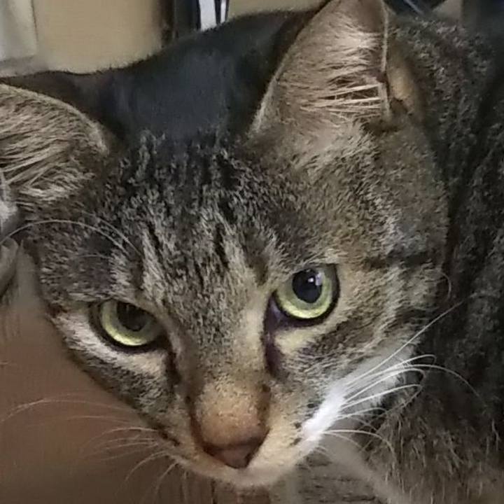 623f3c37 d6e5 400e b911 5d5a38ae3704 1619529753128