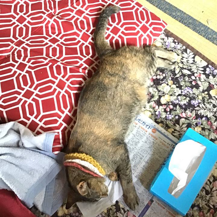 623f6ac6 b5a2 4351 a72d d0f9ebf1aaa6 1623732955293