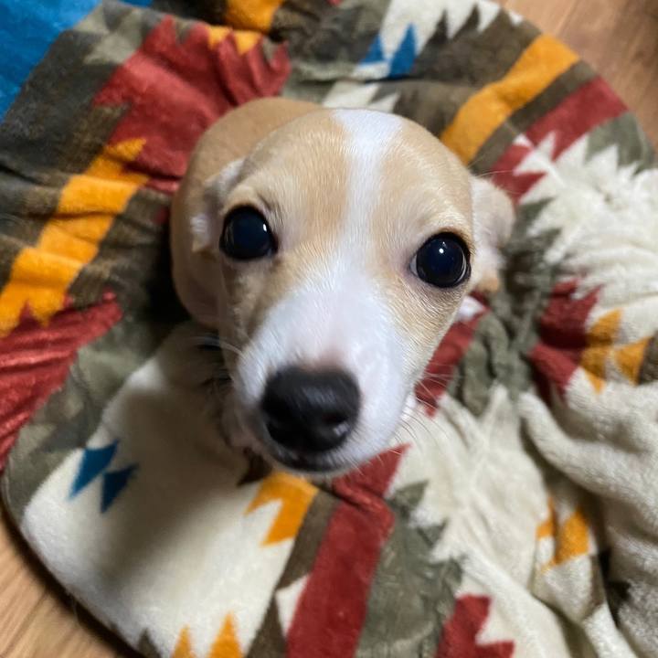 623fa432 f6be 481b a77c 388bc517fba6 1665295518321