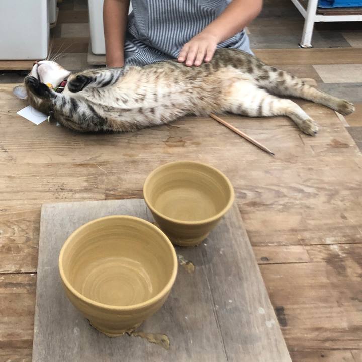 623fae66 de63 4b5a b3da 1c1256c9d170 1663990107609