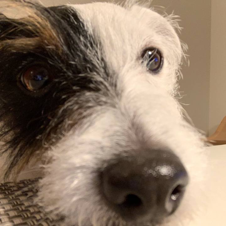 623fd7b9 52a5 41d4 8315 20495718c63c 1550752815050