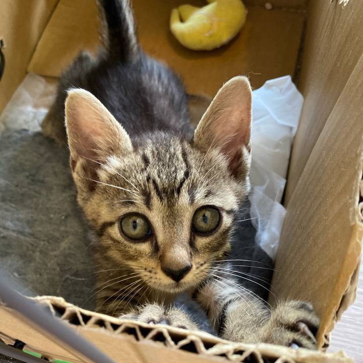 62401967 cc43 4b22 b3d9 55e5dadb7237 1720414154903