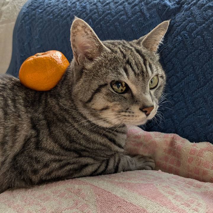 624023e9 c5b0 4ed7 9a42 fc467442fc56 1735702150003