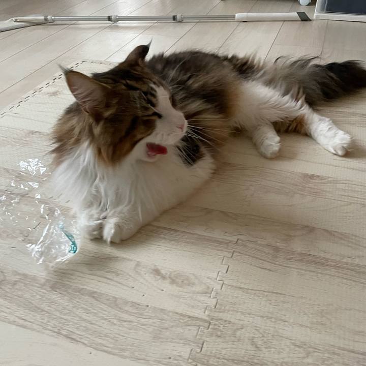 624054ec e791 40f9 88c3 3286202937e5 1657929068870