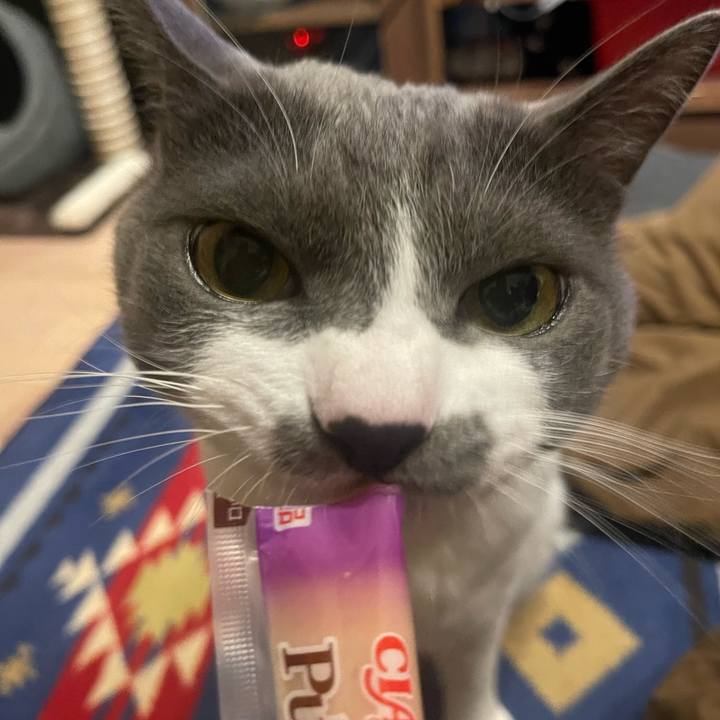 62405dd9 0249 410b 80e2 58d8509c3ef9 1669800446374