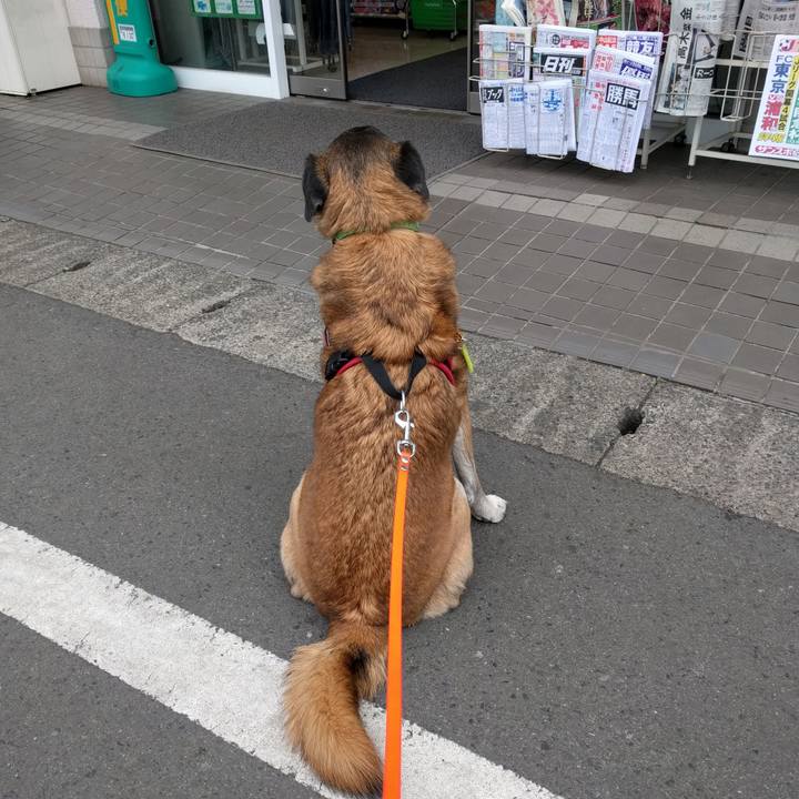 6240c436 0e39 49d1 9856 fdba90f2ab32 1519522379581