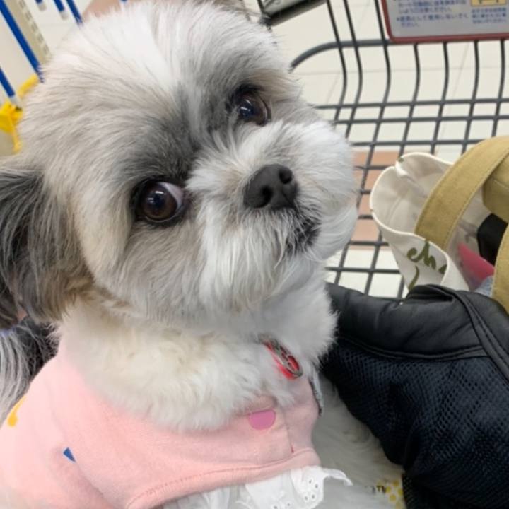 6240dec6 8927 4af0 aa85 bdee7bd9822d 1603617692387