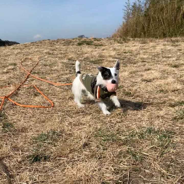 6240fed7 2295 4a70 a509 012d8d709e04 1739671991448