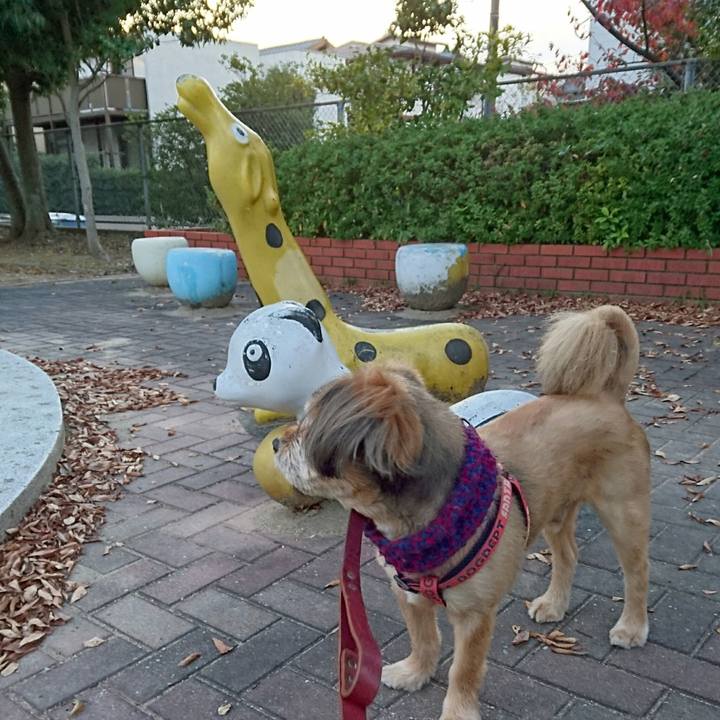 62412b06 3990 434e 80a7 faad9459f8c5 1541237278477