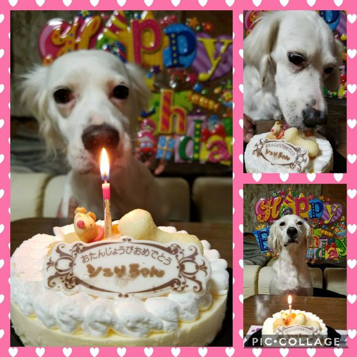 62412fc5 7c82 4f37 bd08 628518a15d9d 1520489319660