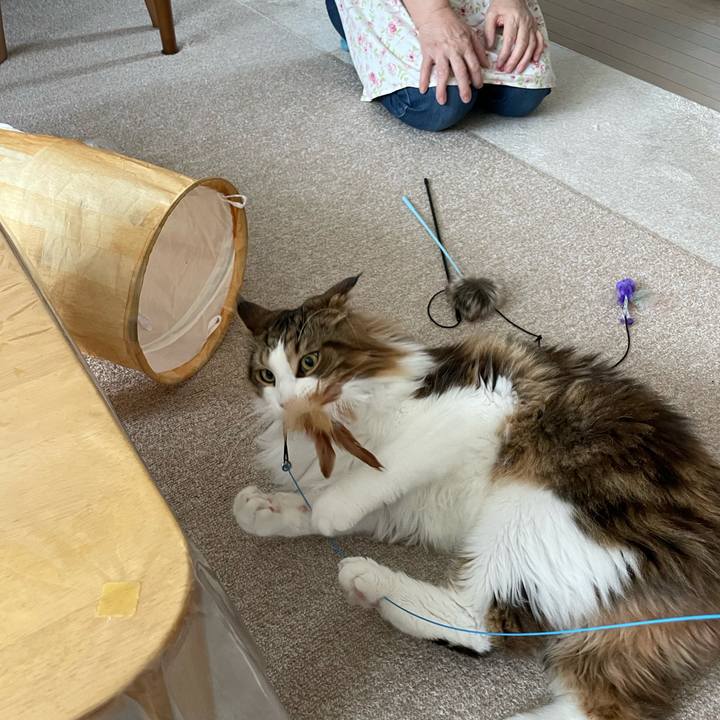 6241736f b89c 49ba 8b10 409a2e735adc 1668911787979