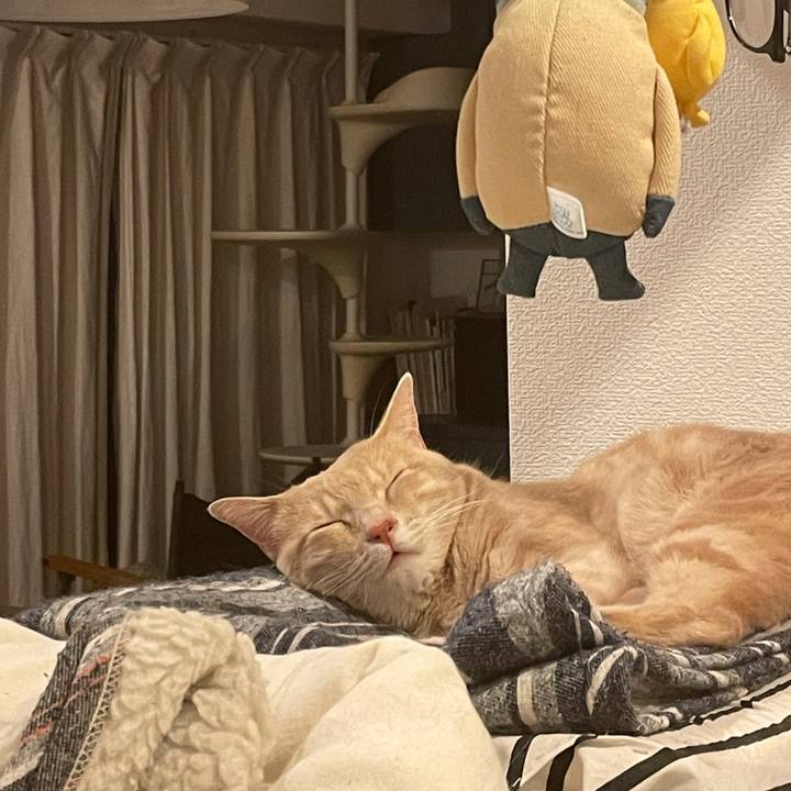 624191b0 93a6 4fd3 8bc3 0522b562a825 1625565463216