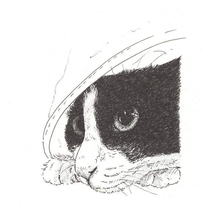 6241e3ca 8e79 4f48 9f93 805ead47f8ac 1563632039623