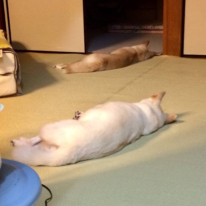 62420525 48ce 4e52 8f79 e11a2feb3029 1531223755643