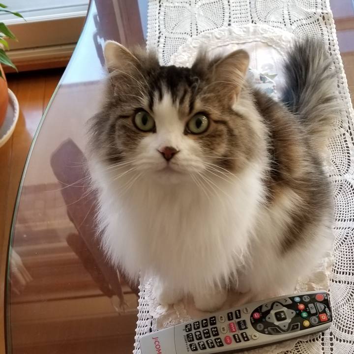 62426893 f39a 4c67 8182 2bf831b85aa9 1548111199862