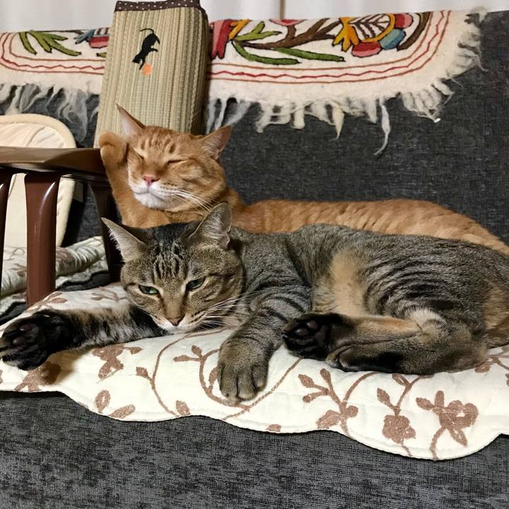 6242b3b5 4790 41c7 932e 59f23f00ed74 1529669379255