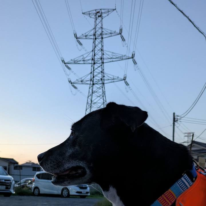 6243058c 238e 4588 8759 9eaf09fe6f2d 1747132934736