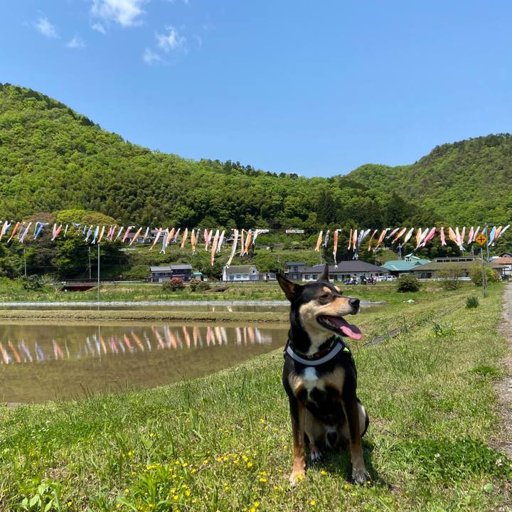 62430652 676e 4fb7 81f7 bd63de5907dc 1651549690700