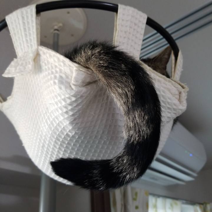 624333e9 4d8c 476a 9584 e501062db98d 1595143807538