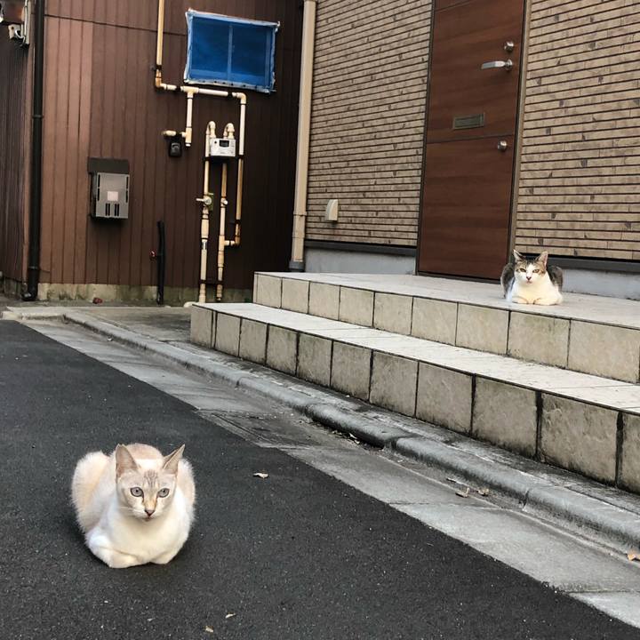 624336b0 b31e 4f1b adc8 f1333d3459d4 1570456475039