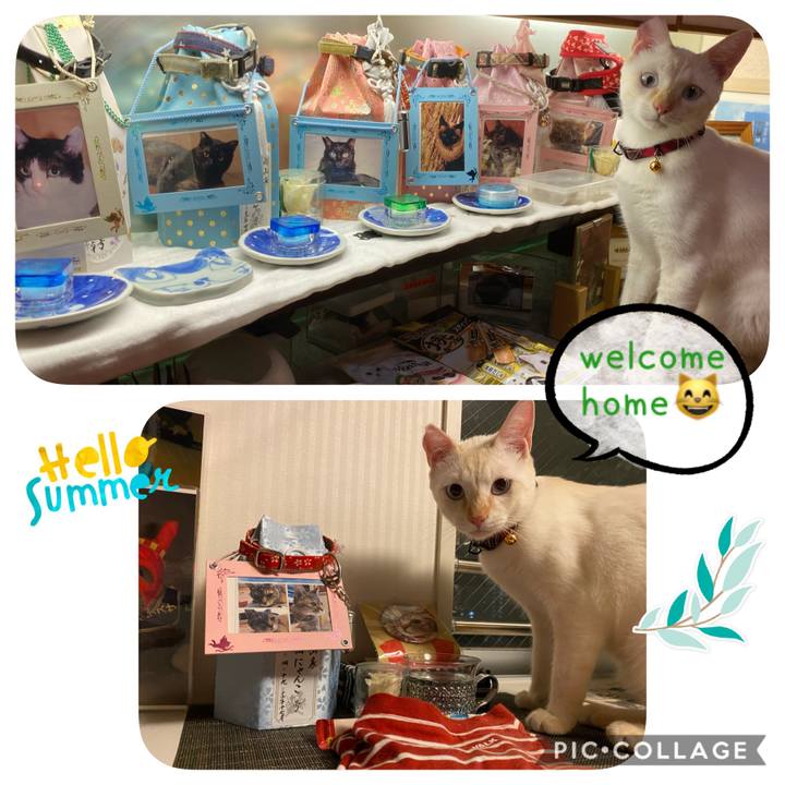 62435ec7 795d 4a1f 90a3 01fb50fa015a 1597340138214