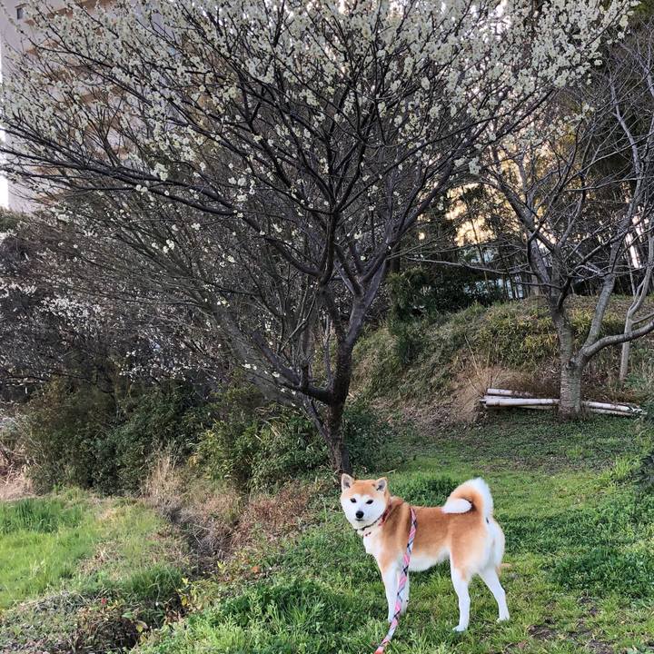 624372d6 b9cb 41c0 b066 62c412fe3425 1582328990775