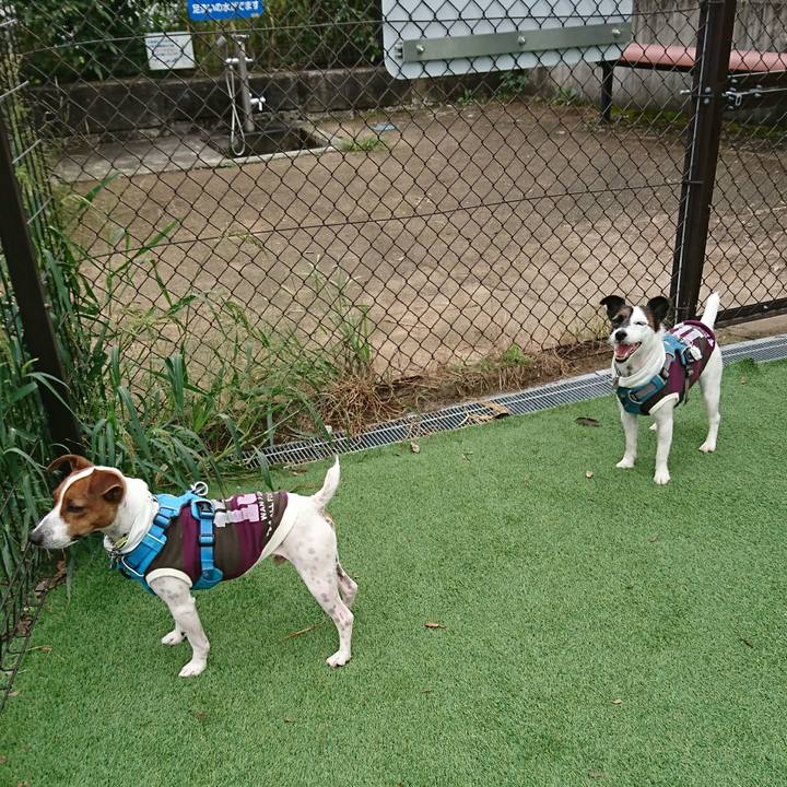 62437b4b da72 4cc5 9912 da935516a1d5 1600581239384