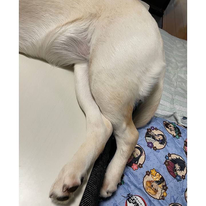 62437dd7 fd5a 4729 9e55 341e97da47f1 1646916610866