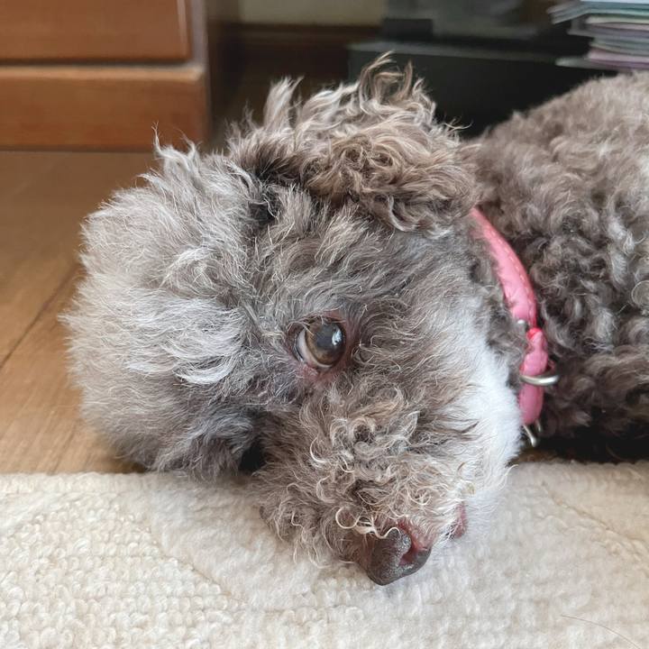 6243a90a baef 45d6 9eb7 7a4f4496655c 1690408195319