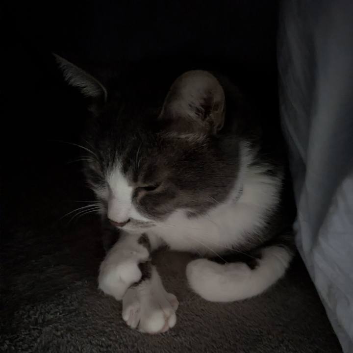 6243e897 8c45 4e06 81a0 20f483a4b79d 1766456864704