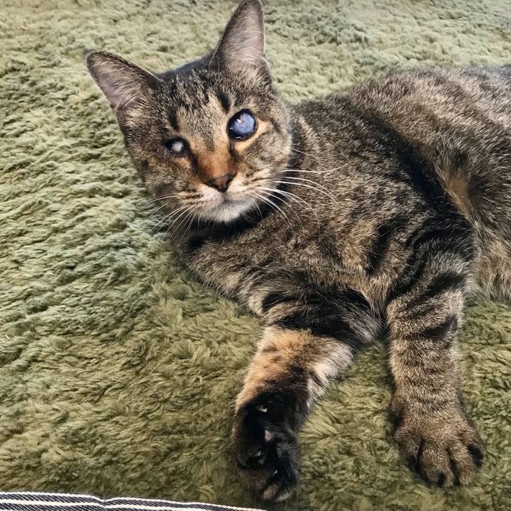 62440485 a0bb 41ac bbea a03d7eb62b81 1627372997013