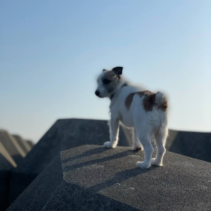 62441cce c655 4ecd bb51 52c27cba70d9 1617230261640