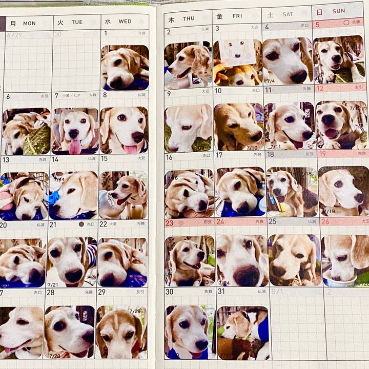 62442ebe ef13 4d82 9bf6 c6a0bf868c1c 1596606361146