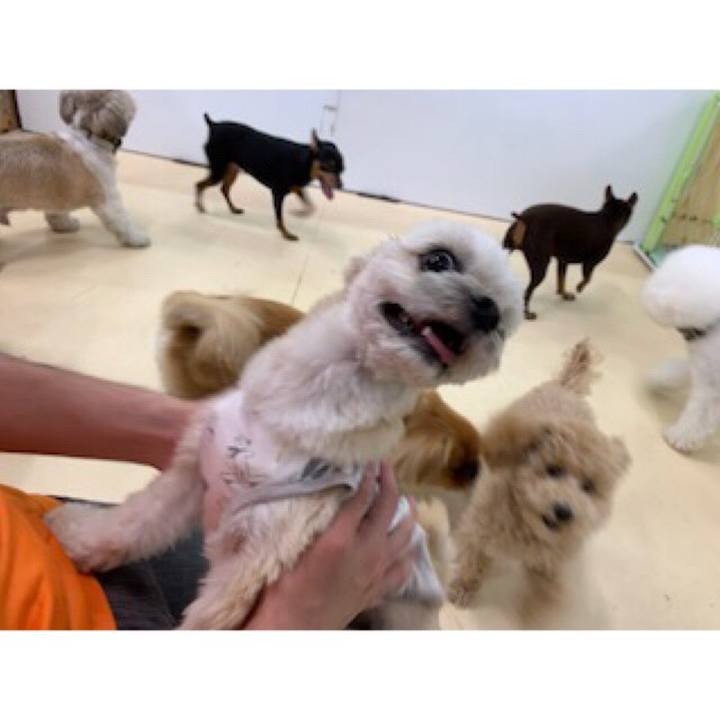 62442f85 03be 4450 8e5f 9efd45bbf009 1560515301848