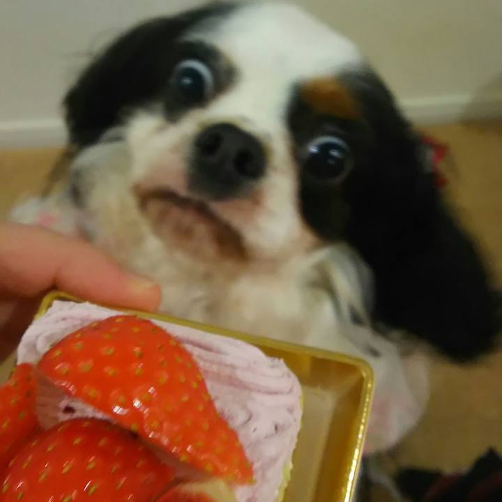 62446870 9604 4039 ad92 179550060f32 1514983314269