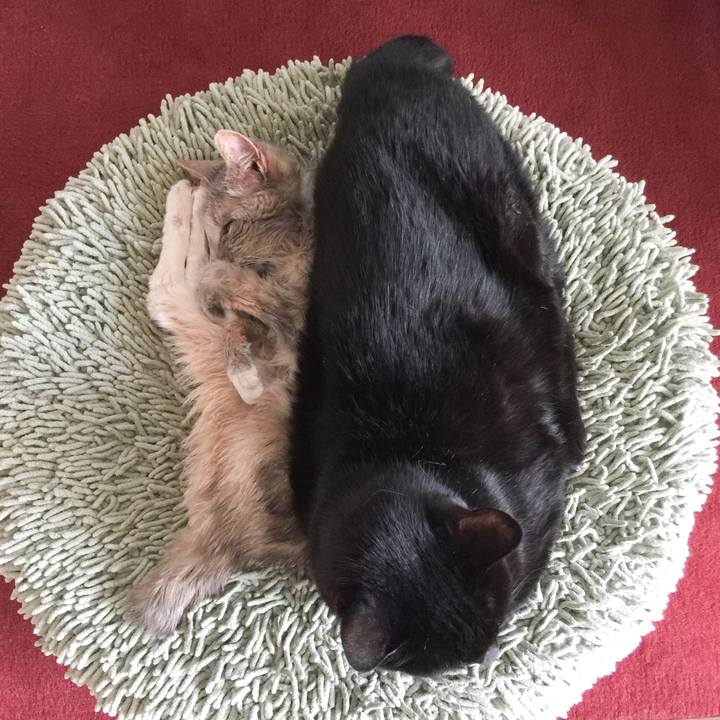 62447a7e 986b 4eeb 8c7d 4f8f1584ac27 1525055115591