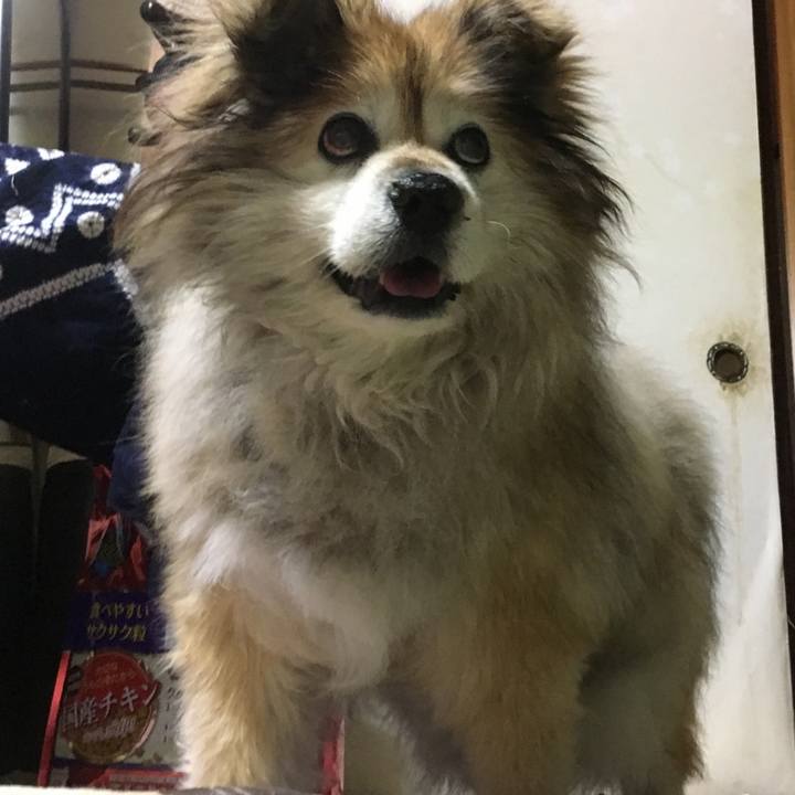 62448ba4 1a90 4a71 b112 a67ddeb3e7fb 1576735036074