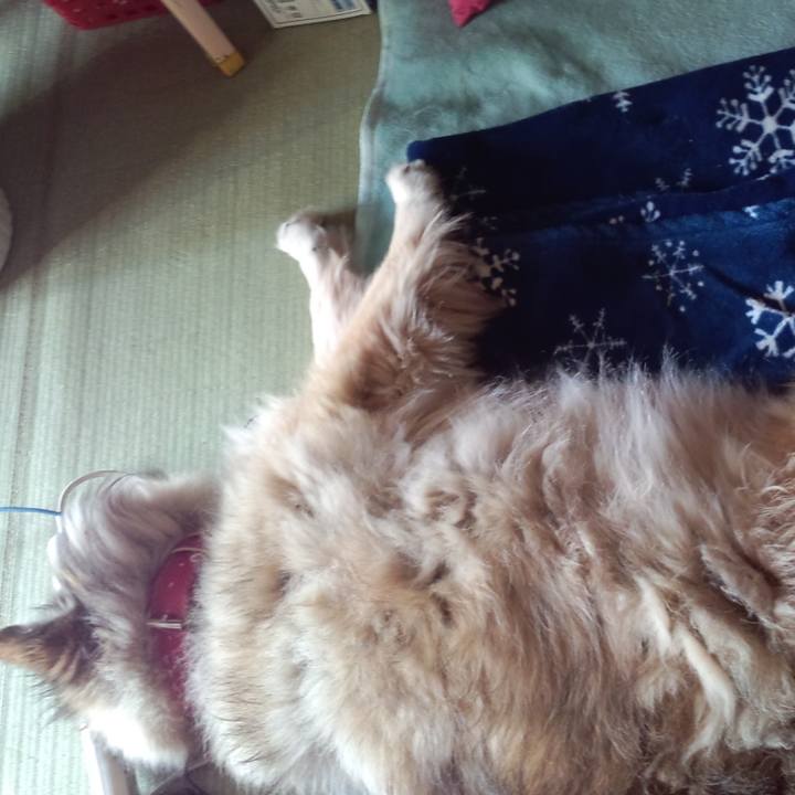 62448f5f efb6 48f9 a8aa 288ff4057bd1 1615685850961