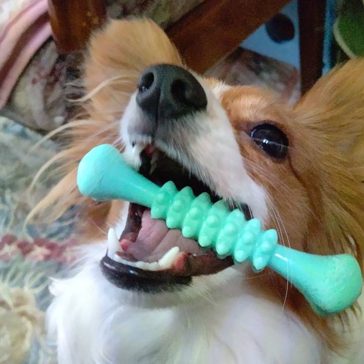 6244b750 7cc0 48bb b489 f9ec7821dc55 1615730999125