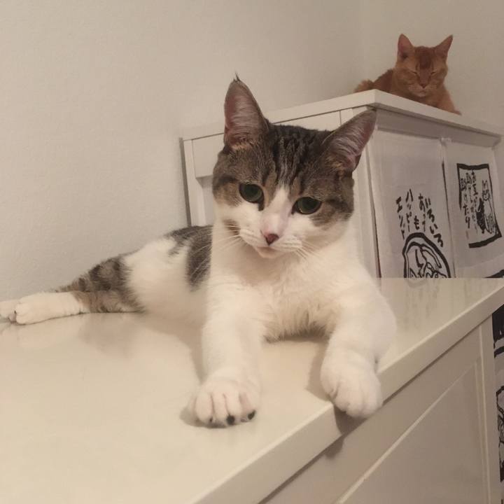 6244f4c9 3e74 40e9 8ad6 f74eb1edac85 1662077677822